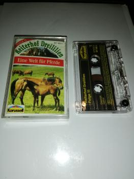 Reiterhof Dreililien Folge 11 Eine Welt für Pferde Transparent 847 468-4 (Weiß Rotes Cover) Karussell