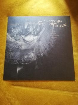 Cocteau Twins-Treasure 1984 4AD-206699 Deutsche Pressung NM/VG+