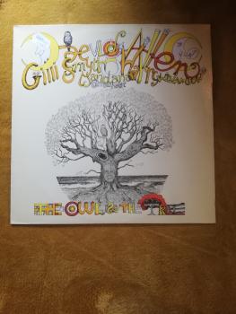 Daevid Allen and the Mother Gong-The owl and the tree 1989 Demi Monde Englische Pressung NM/VG+