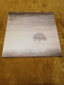 Genesis Wind and Wuthering 1976 Charisma 9124003 Italienische Pressung VG/VG-