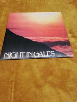 Night in Gales Sylphlike 1999 Deadly Art Production DAP 098 MDD Deutsche Pressung Blaues Vinyl VG/VG