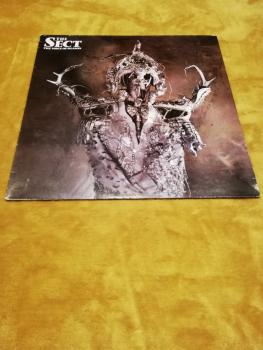 The Sect The voice of Reason 1987 Razor Records RAZ 27 UK Pressung VG/VG-(leichter Abriss auf Plattenlabel)