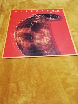 Blackfoot Strikes 1979 Atlantic ATL 50603 Deutsche Pressung VG+/VG-(leichter Abriss auf Frontcover)
