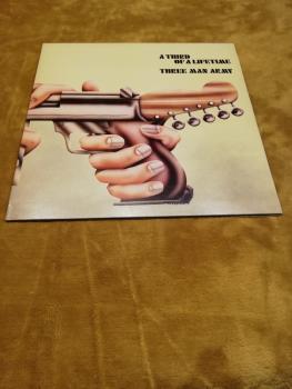 Three Man Army-A third of a Lifetime 1971 Pegasus PEG 3 UK Pressung VG/VG