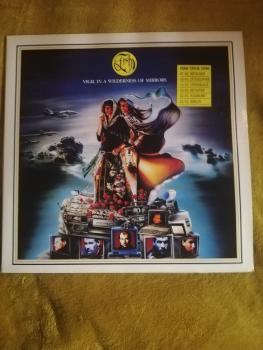 Fish-Vigil in a Wilderness of Mirrors 1990 EMI 064-793634-1 Europäische Pressung VG+/VG+