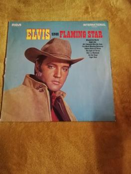Elvis Presley sings Flaming Star 1969 RCA International (Camden) INTS 1012 UK Pressung VG/VG-