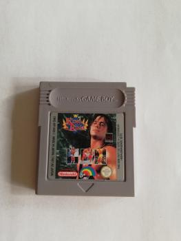 King of the Ring Gameboy Nintendo