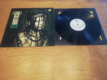 Living Colour Stain 1993 EPIC EPC 472856-1 Holländische Pressung VG-/VG