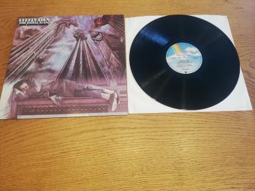 Steely Dan The Royal Scam 1984 MCA Records 250505-1 Deutsche Pressung NM/VG+