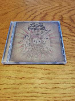 Enter Shikari-Take to the Skies 2007 Ambush Reality CDAMBR001 NM