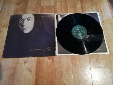 Bob Geldorf The Vegetarians of Love 1990 Mercury 846250-1 Holländische Pressung VG+/VG+