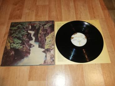 Cat Stevens Back to Earth 1978 Island Records ILPS 19565 Italienische Pressung VG/VG