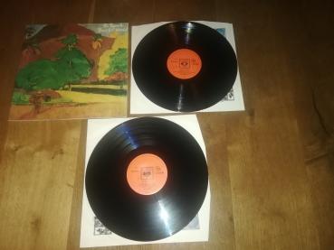 The Rascals Peaceful World 1971 CBS 66292 Doppel LP Italienische Pressung VG+/VG+