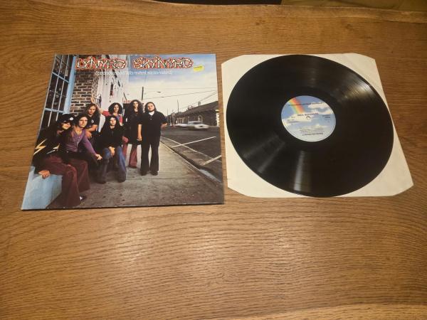Lynyrd Skynyrd (Pronounced `Leh-`nerd `Skin-`nerd)1980 MCA Records 201797-320 Deutsche Pressung NM/VG+