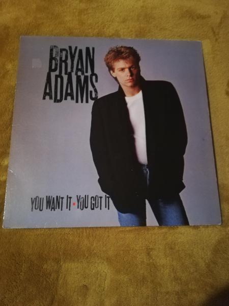 Bryan Adams-You want it you got it 1981 A&M Records 393154-1 Deutsche Pressung NM/VG