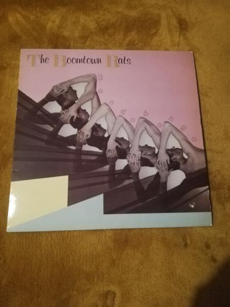 The Boomtown Rats- Mondo Bongo 1980 Mercury 6359042 UK Pressung VG+/VG-