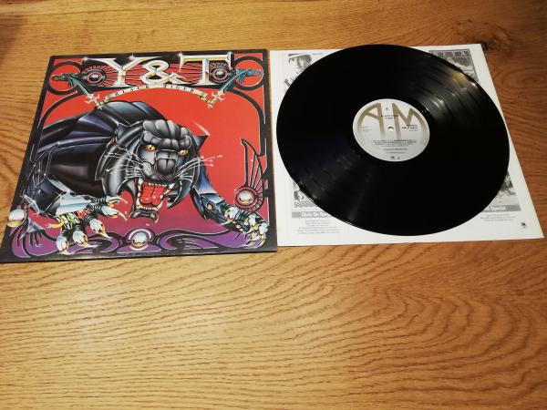 Y & T -Black Tiger 1982 A&M Records AMLH 64910 Holländische Pressung VG+/VG+