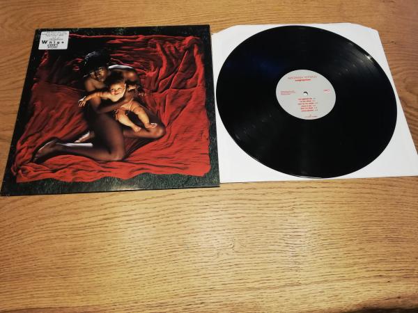 Afghan Whigs-Congregation 1992 Sup Pop SP 28/183 Europäische Pressung VG/VG+
